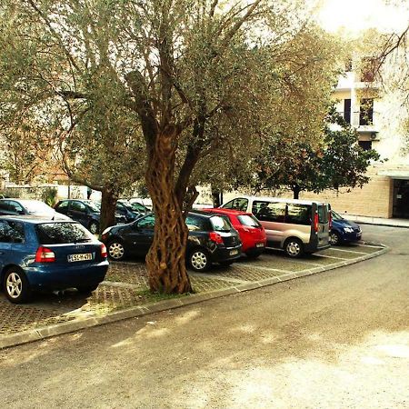 Hotel Sumadija Rafailovici Bečići Zewnętrze zdjęcie